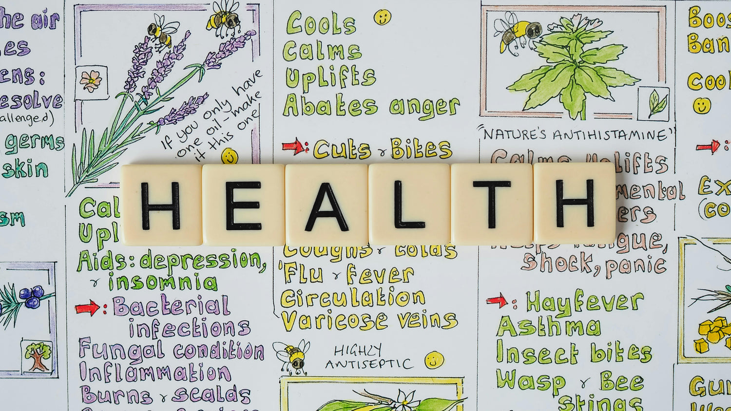 Health & Wellness