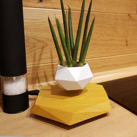 Magnetic Levitating Plant Pot — Defies Gravity on Your Desk